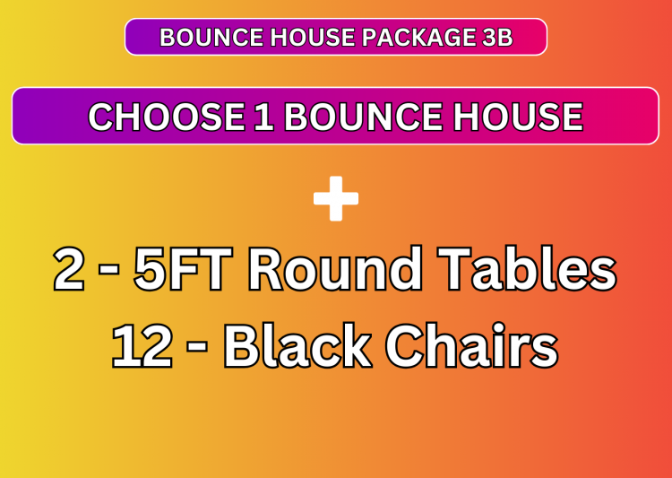 Bounce House Party Package 3D